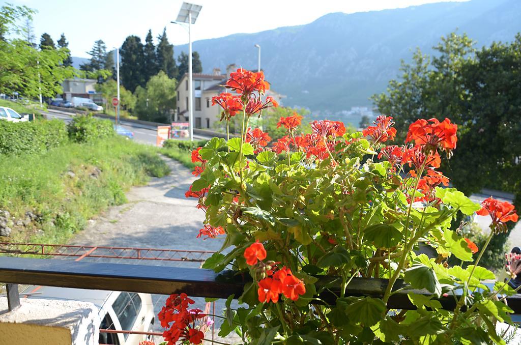 Apartment Luka Kotor Exteriör bild